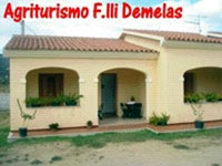 img-dx