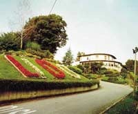 img-dx