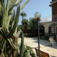 img-dx