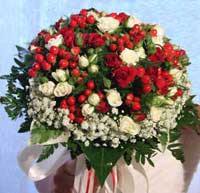 img-dx