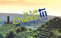 img-dx