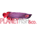 logo-ph