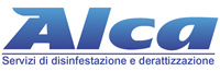 img-dx