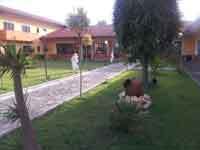 img-dx