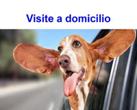 img-dx