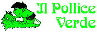 img-dx