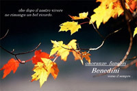 img-dx