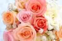 img-dx