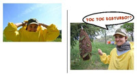 img-dx