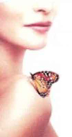 img-dx