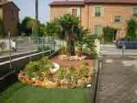 img-dx