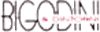 logo-ph