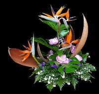 img-dx