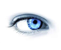img-dx