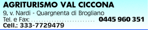 Visualizza Inserzione