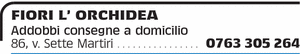 Visualizza Inserzione