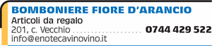 Visualizza Inserzione