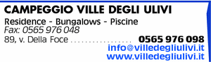 Visualizza Inserzione