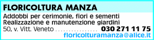 Visualizza Inserzione