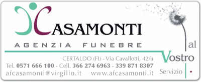 Visualizza Inserzione