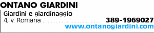 Visualizza Inserzione