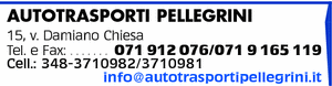 Visualizza Inserzione