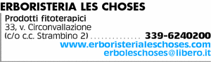 Visualizza Inserzione