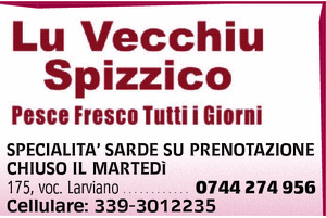 Visualizza Inserzione