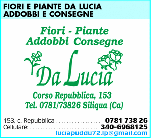 Visualizza Inserzione