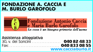 Visualizza Inserzione
