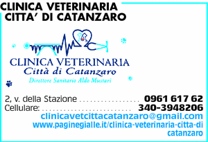 Visualizza Inserzione