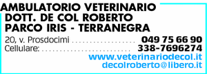 Visualizza Inserzione
