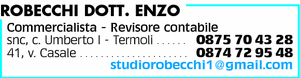 Visualizza Inserzione