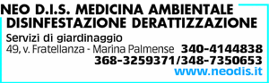 Visualizza Inserzione