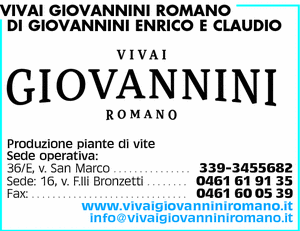 Visualizza Inserzione