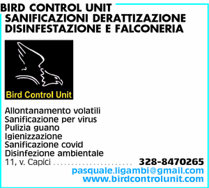 Visualizza Inserzione