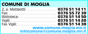 Visualizza Inserzione