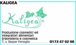 Visualizza Inserzione