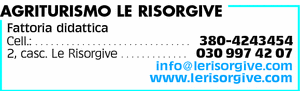 Visualizza Inserzione