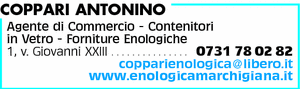 Visualizza Inserzione
