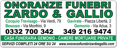 Visualizza Inserzione