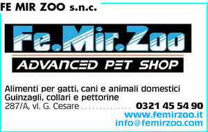 Visualizza Inserzione