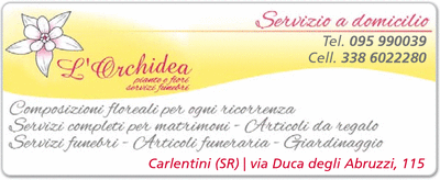 Visualizza Inserzione