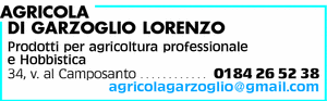 Visualizza Inserzione