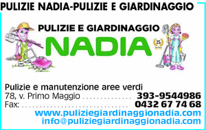Visualizza Inserzione