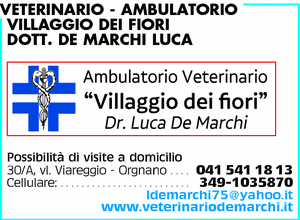 Visualizza Inserzione