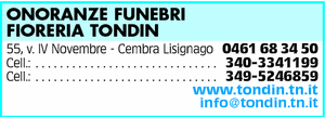 Visualizza Inserzione