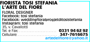 Visualizza Inserzione
