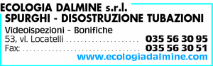 Visualizza Inserzione