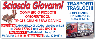 Visualizza Inserzione